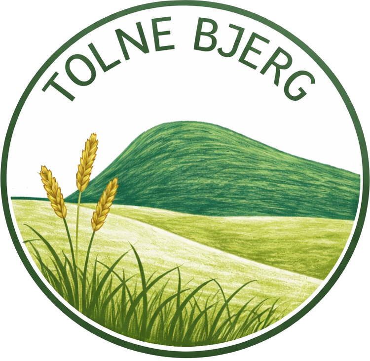 cropped logo1 transparent.png