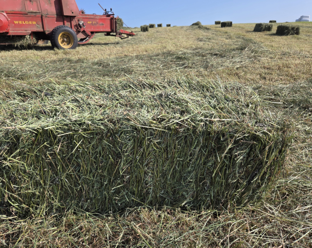 minwrapballer produkter